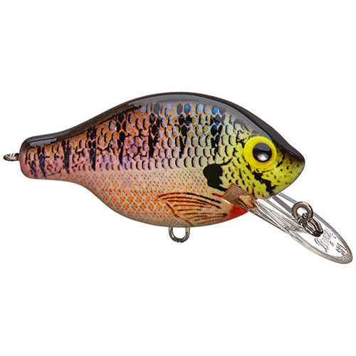 Bagley Small Fry 1 Crankbait