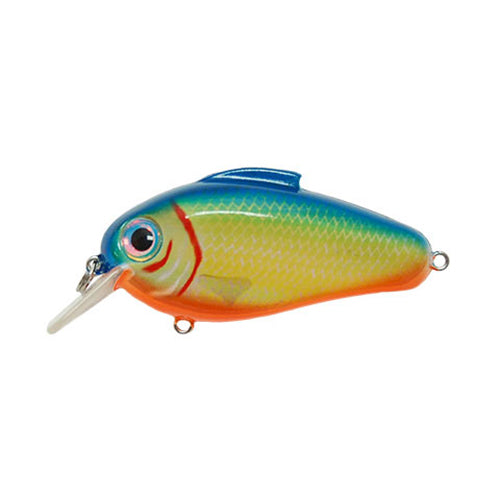 Bill Lewis Echo 1.75 Square Bill Crankbait