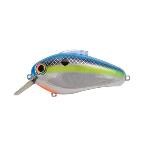 Bill Lewis Echo 1.75 Square Bill Crankbait