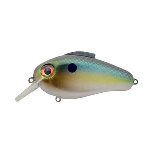 Bill Lewis Echo 1.75 Square Bill Crankbait