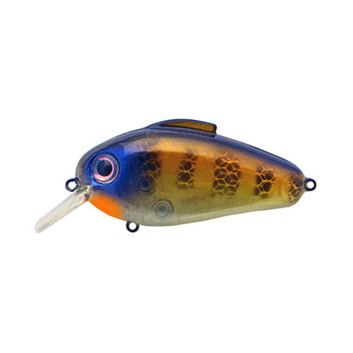 Bill Lewis Echo 1.75 Square Bill Crankbait