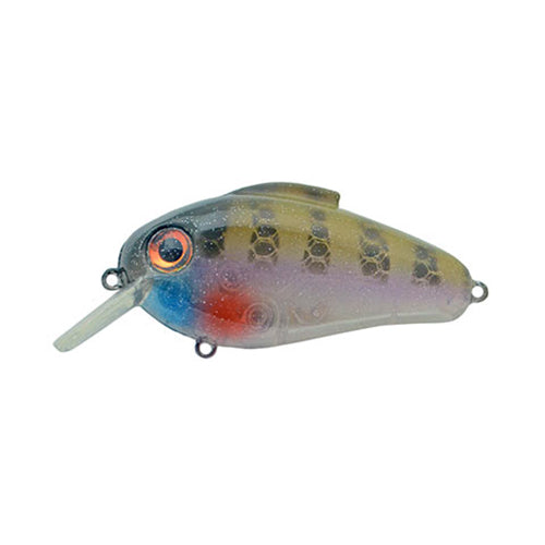 Bill Lewis Echo 1.75 Square Bill Crankbait