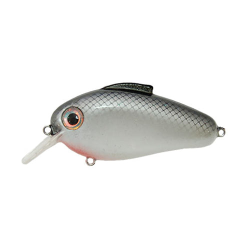 Bill Lewis Echo 1.75 Square Bill Crankbait