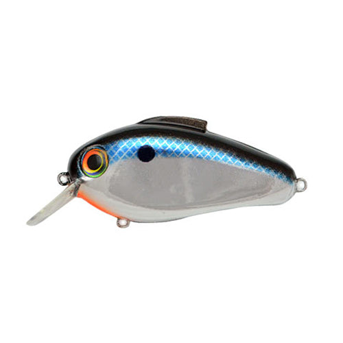 Bill Lewis Echo 1.75 Square Bill Crankbait