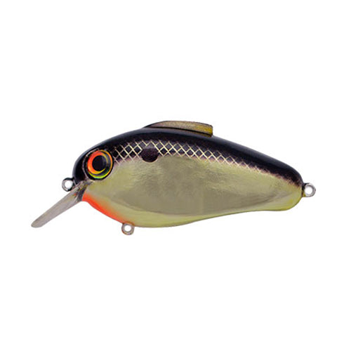 Bill Lewis Echo 1.75 Square Bill Crankbait