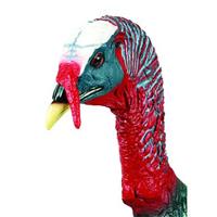 Flambeau Turkey Decoy Masters Series Intruder Jake With Stake