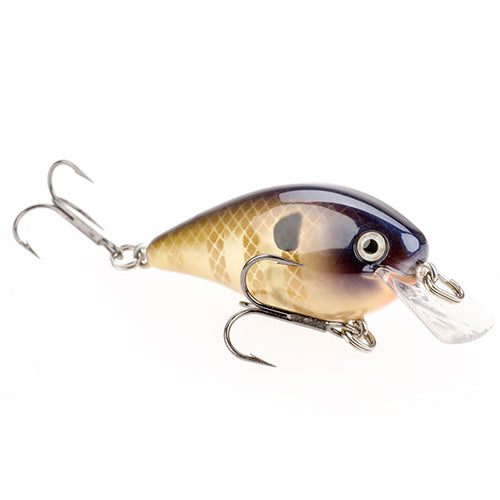 Strike King KVD 1.0 Square Bill Crankbait - 3 Pack