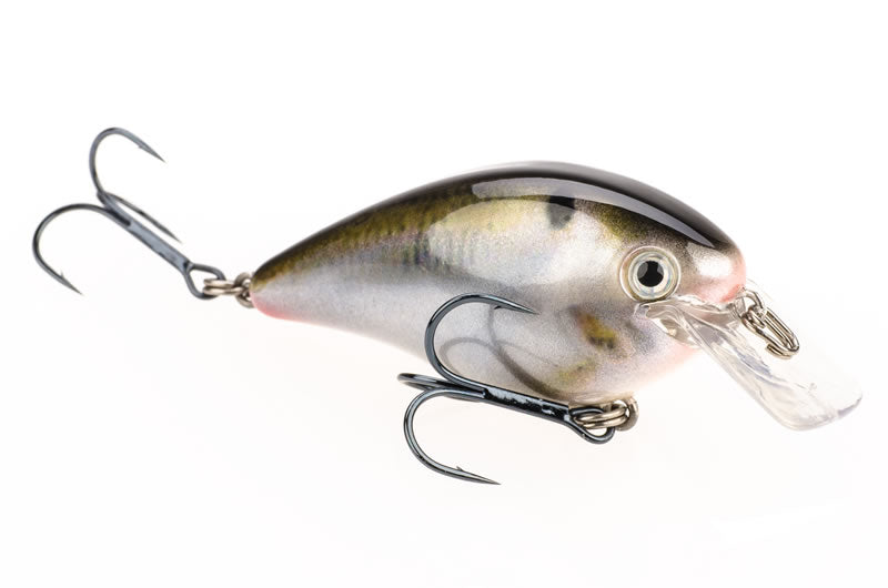 Strike King Kvd 1.5 Square Bill Crankbait - 3 Pack