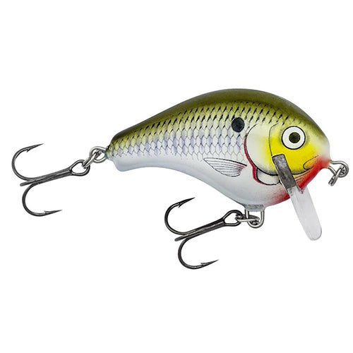 Bagley Balsa Wake 1 Wake Bait