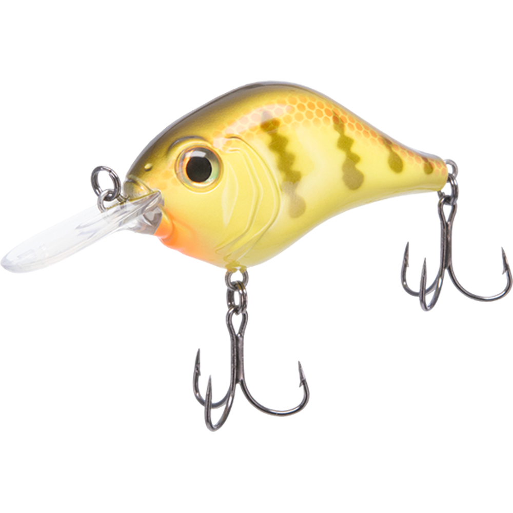 Bill Lewis MR-6 Crankbait